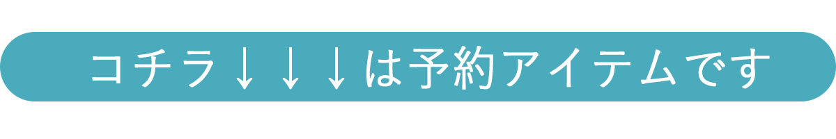 コチラは予約品です