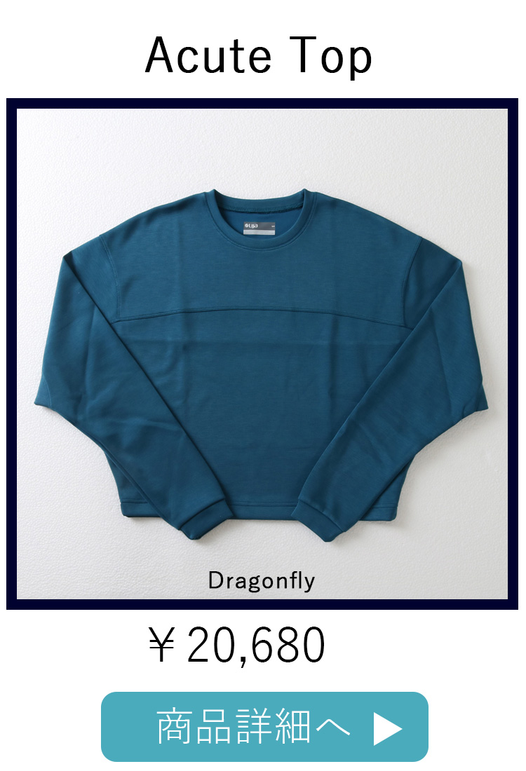 AcuteTopDragonflyリンク写真