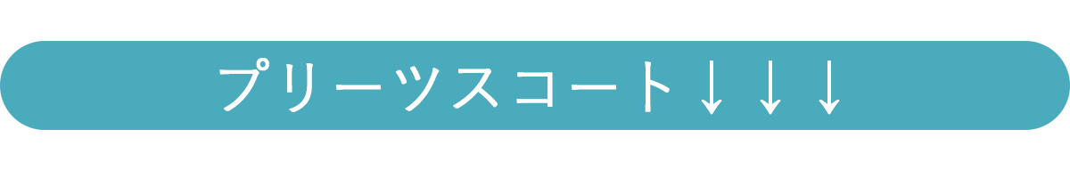 プリーツスコート表示