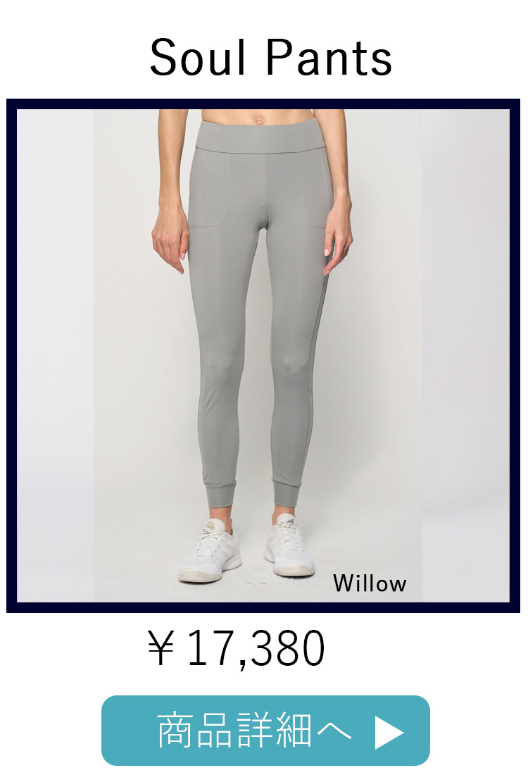 SoulPantsWillow平置き写真